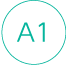 A1