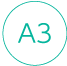 A3